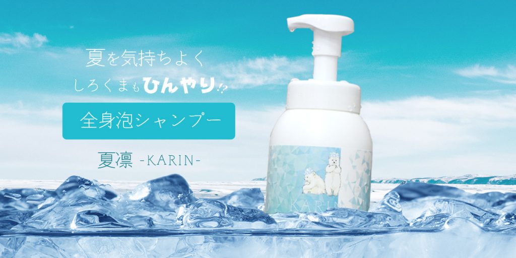 トリートメント KARIN エッセンシャル ザビューティ 髪のキメ美容ウォータートリートメント